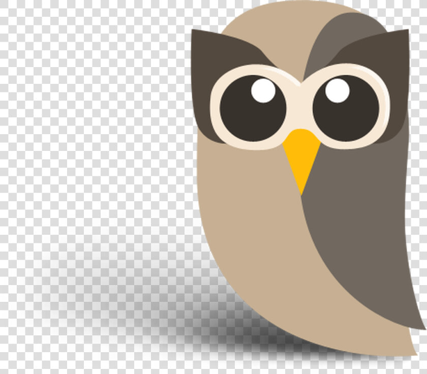 Hootsuite Owl  HD Png DownloadTransparent PNG