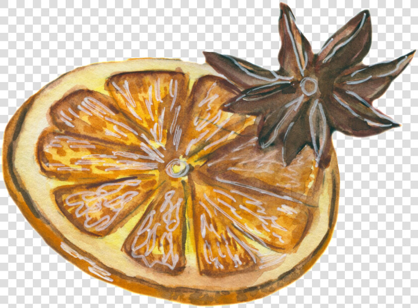 Hand painted Cartoon Realistic Lemon Slice Png Transparent  Png DownloadTransparent PNG