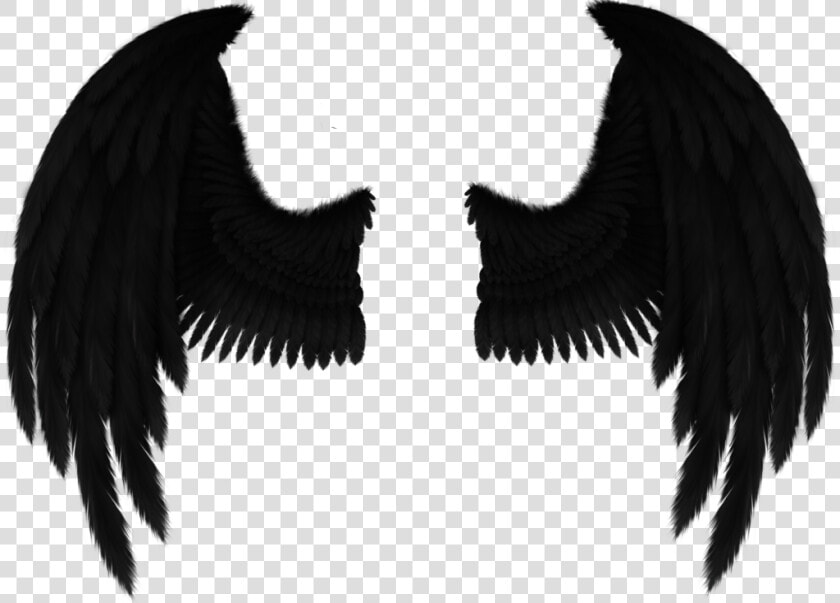 Drawing Fallen Angel Art   Drawing Black Angel Wings  HD Png DownloadTransparent PNG