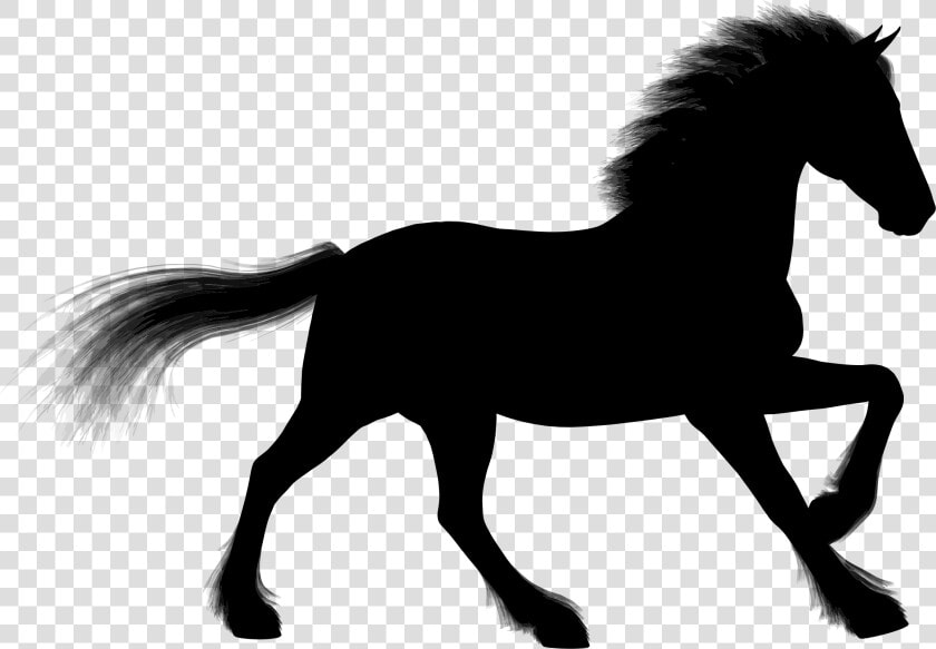 Stallion Arabian Horse Foal Silhouette Clip Art   Silhouette Of Animals Png  Transparent PngTransparent PNG