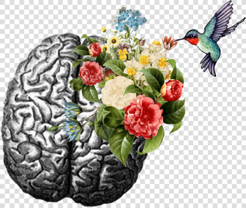 Psychology Sticker  HD Png DownloadTransparent PNG