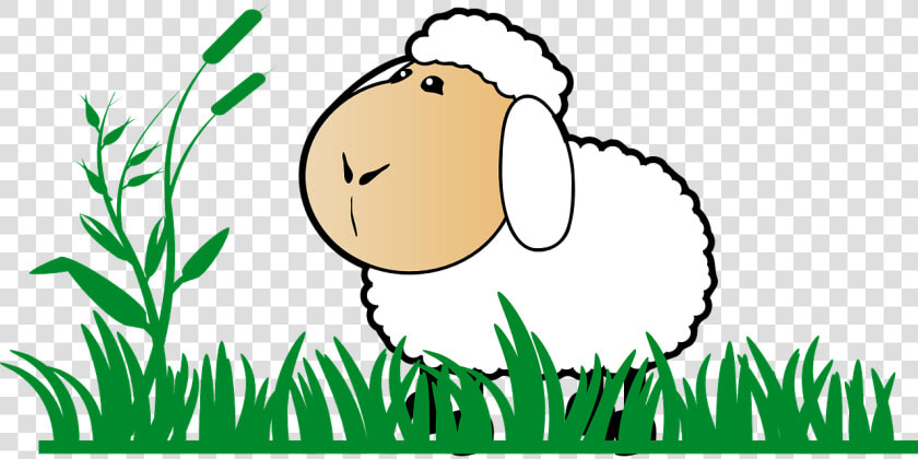 Transparent Sheep Cartoon Png   Transparent Background Sheep Clipart  Png DownloadTransparent PNG