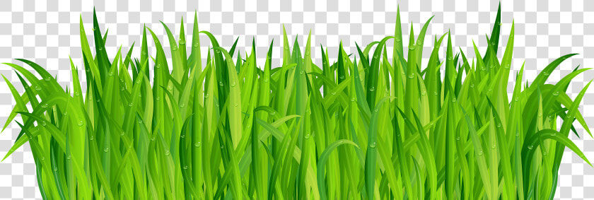 Clip Art Clip Art Of Grass   Grass  HD Png DownloadTransparent PNG