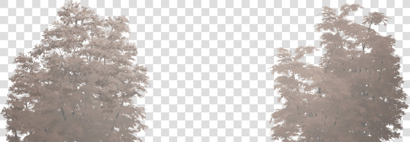 Деревья   Larch  HD Png DownloadTransparent PNG