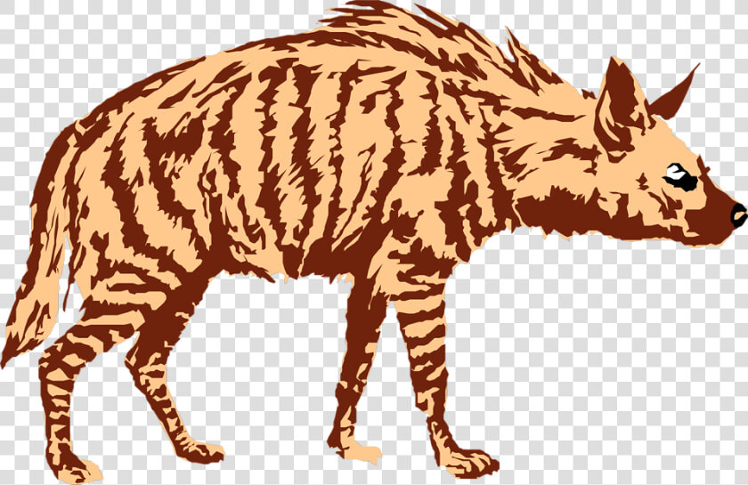 Grab And Download Hyena Png Image Without Background   Transparent Background Hyena Clipart  Png DownloadTransparent PNG