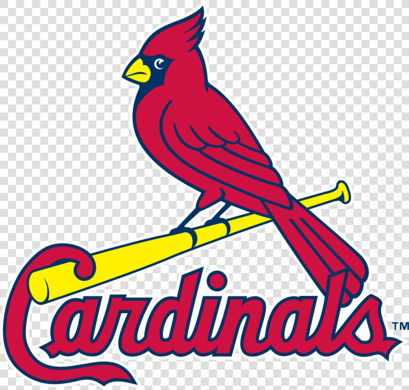 Louis Cardinals Logo   Stl Cardinals Logo Png  Transparent PngTransparent PNG