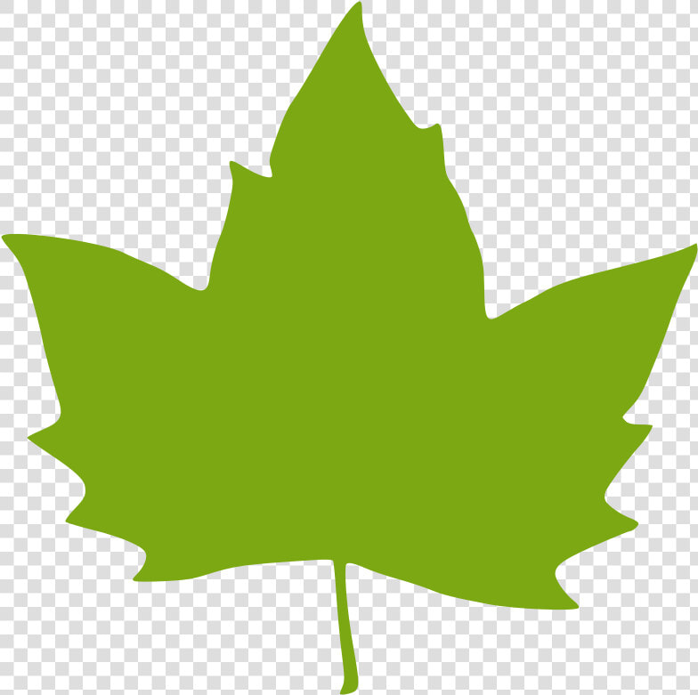 Green Leaves Clipart Clip Art Green   Clip Art Pumpkin Leaves  HD Png DownloadTransparent PNG