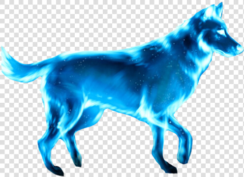  harrypotter  patronus  wolf  hp  freetoedit   Wolf Patronus  HD Png DownloadTransparent PNG