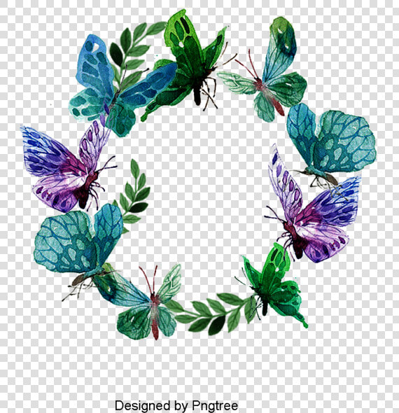 Moths And Butterflies  HD Png DownloadTransparent PNG