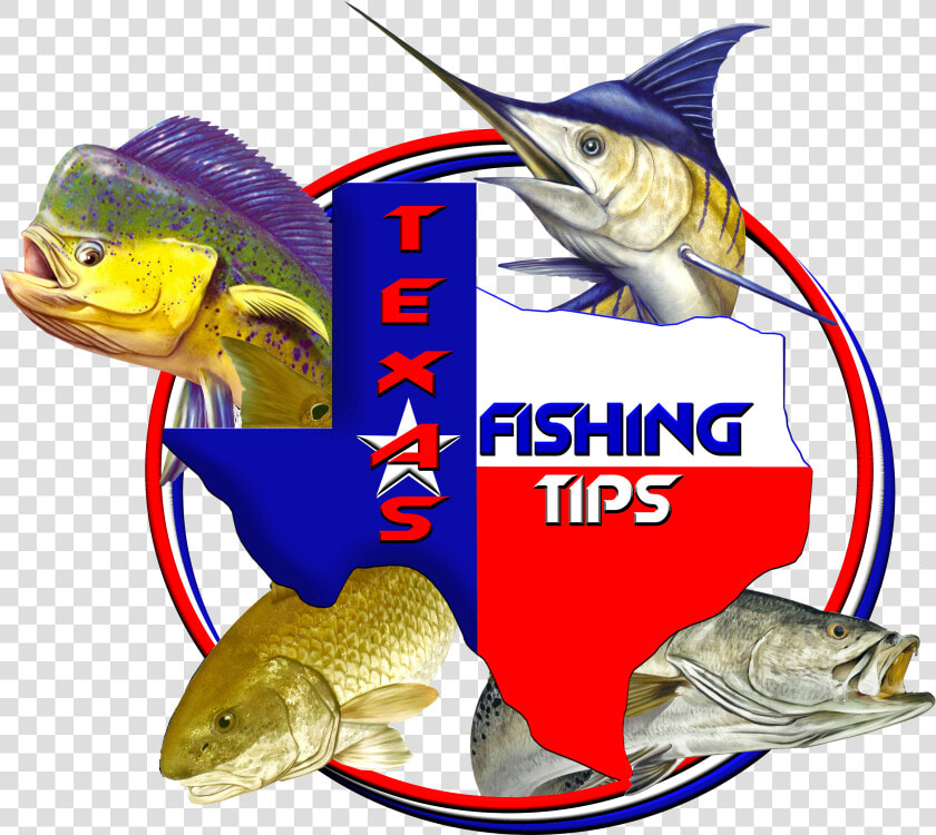 Fishing Maps Corpus Christi  HD Png DownloadTransparent PNG