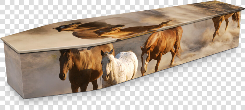 Horse Themed Casket  HD Png DownloadTransparent PNG