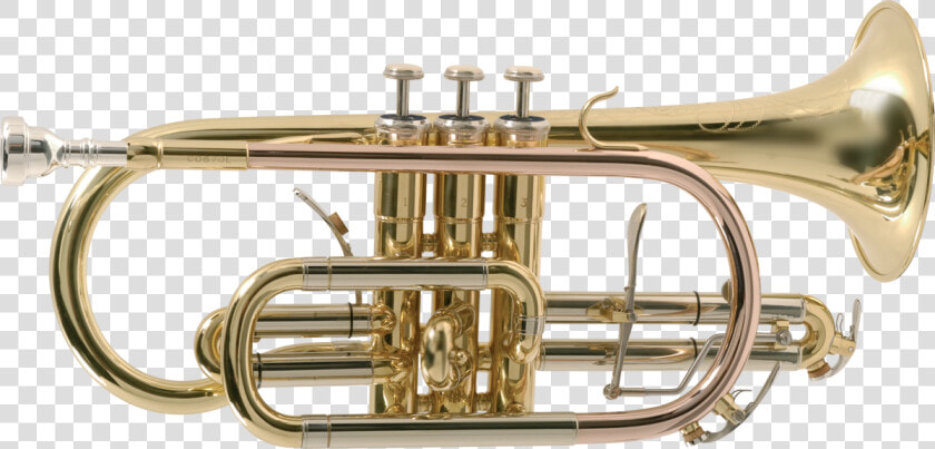 Clip Art Sib Co L Musical   Cornet  HD Png DownloadTransparent PNG