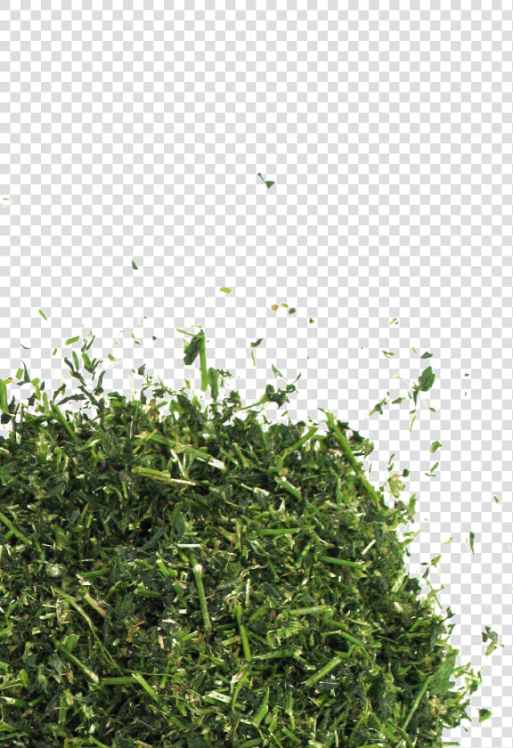 Non Gmo Alfalfa Data Ww   702px   702px   702px     Chopped Grass Png  Transparent PngTransparent PNG