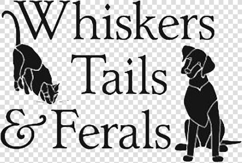 Whiskers tails   Dog Licks  HD Png DownloadTransparent PNG