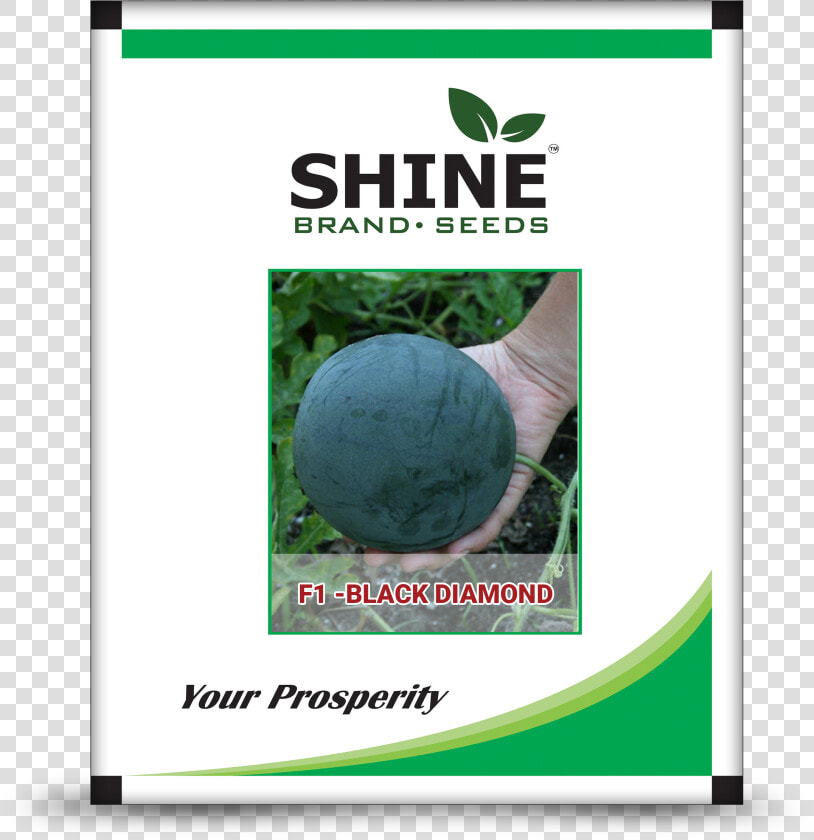 Shlne 820  HD Png DownloadTransparent PNG