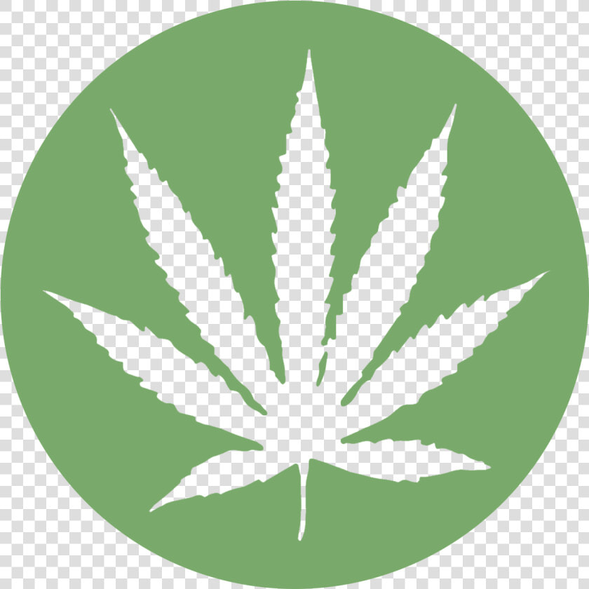 Transparent Weed Leaf Clipart   White Cannabis Leaf On Black Background  HD Png DownloadTransparent PNG