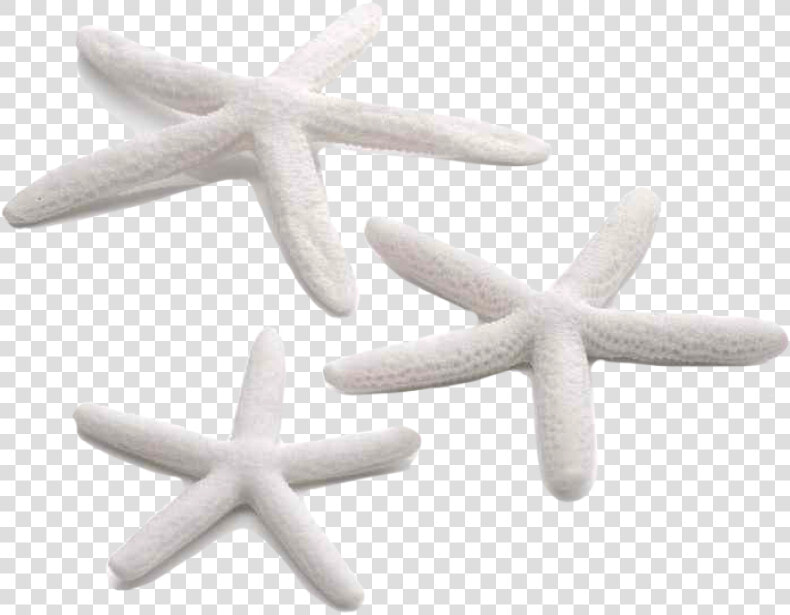 Biorb Starfish Set 3per Pk White 46134   Png Download   Biorb Starfish Set 3  Transparent PngTransparent PNG