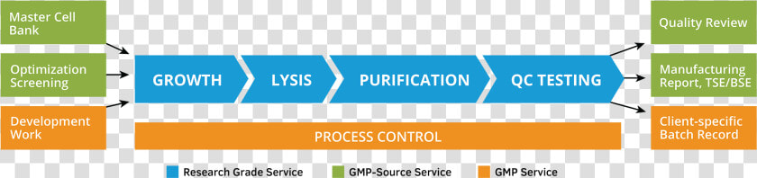 Plasmid Dna Manufacturing Process  HD Png DownloadTransparent PNG