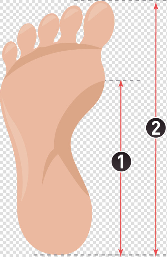 How To Measure Insoles   Paris Métro Line 2  HD Png DownloadTransparent PNG