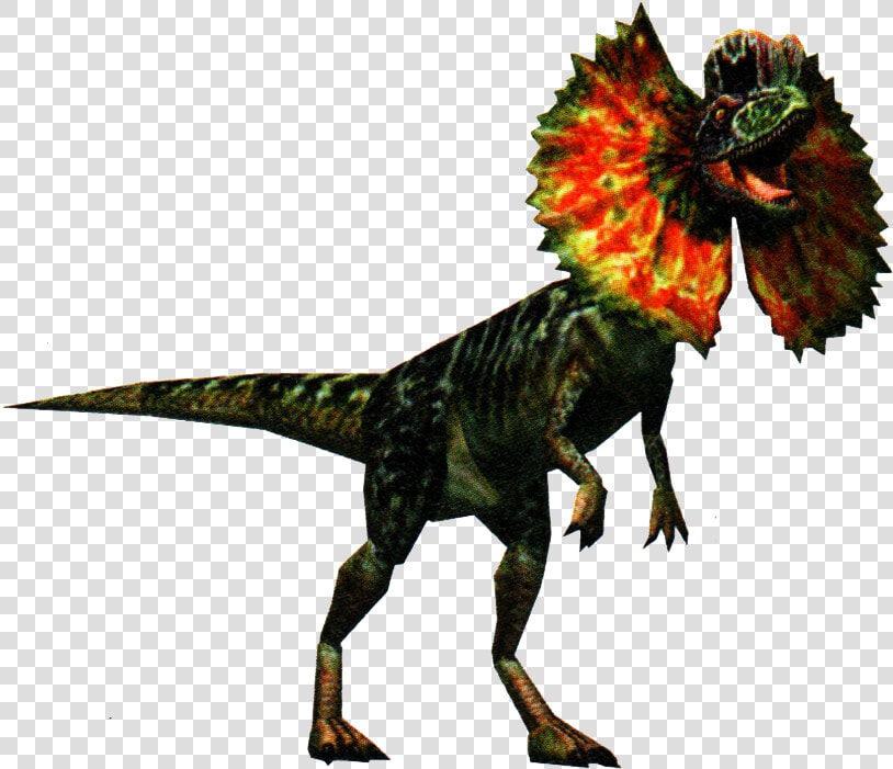 Dilophosaurus Dilophosaurus  HD Png DownloadTransparent PNG