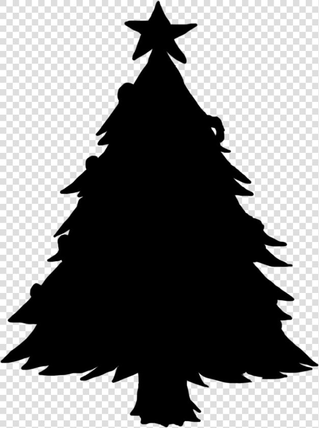 Mornington House Paellera Albert Community Victoria   Christmas Tree  HD Png DownloadTransparent PNG