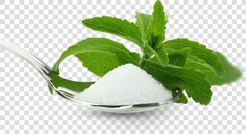 Stevia And Sugar   Stevia Png  Transparent PngTransparent PNG