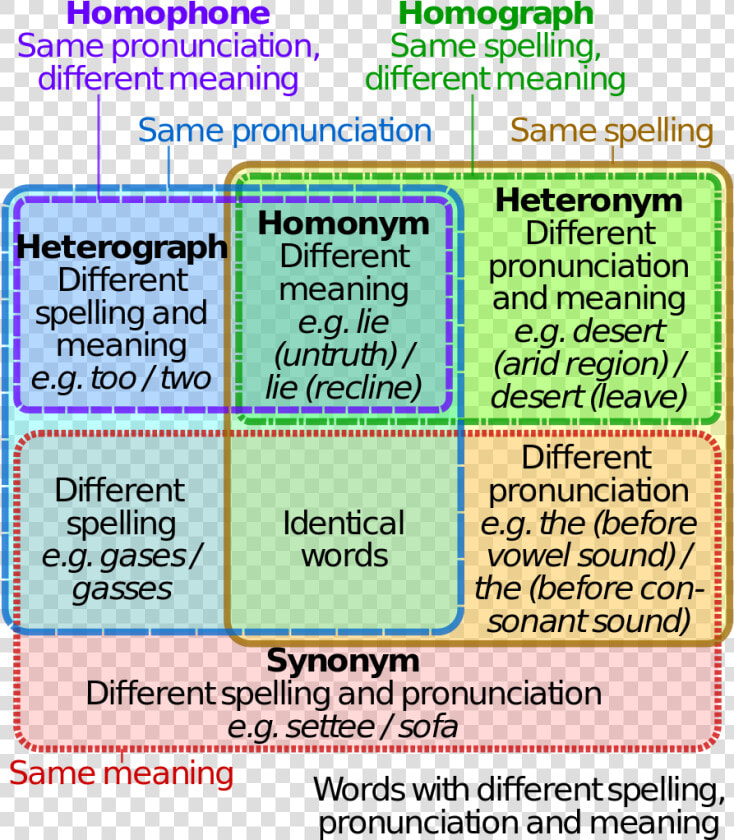 Homophones Homonyms Homographs  HD Png DownloadTransparent PNG