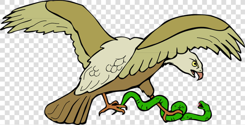 Aguila Volando   Eagle Eating Snake Clipart  HD Png DownloadTransparent PNG