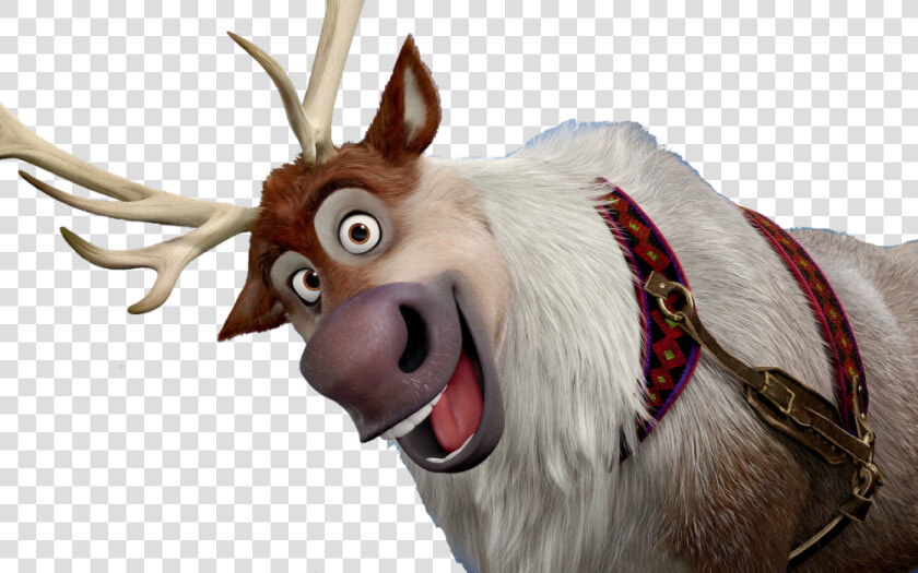 Download Frozen Sven Png Photo 164   Sven Frozen  Transparent PngTransparent PNG