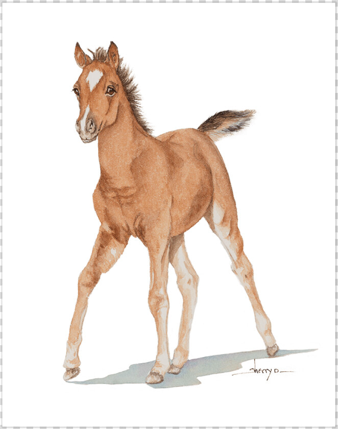 Clip Art Baby Horse   Baby Horse Png  Transparent PngTransparent PNG