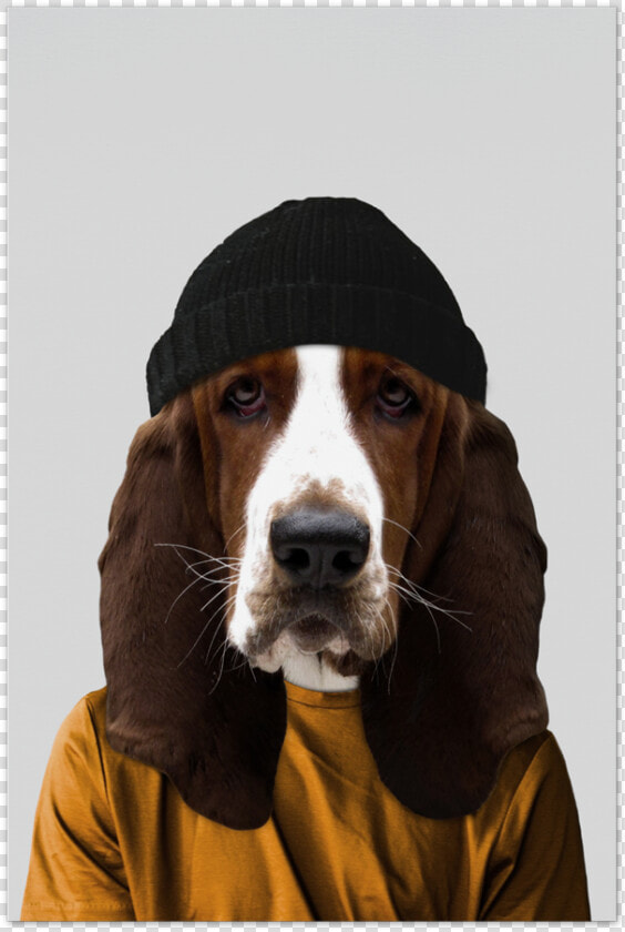 Fred The Basset Hound Art Card   Dogs Dressed Like People  HD Png DownloadTransparent PNG