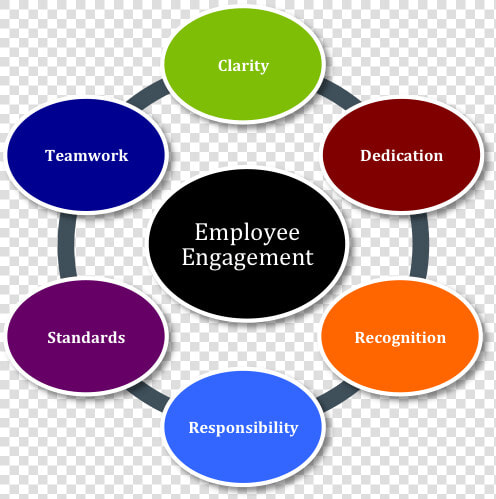 Employee Engagement   Driver Of Employee Engagement  HD Png DownloadTransparent PNG