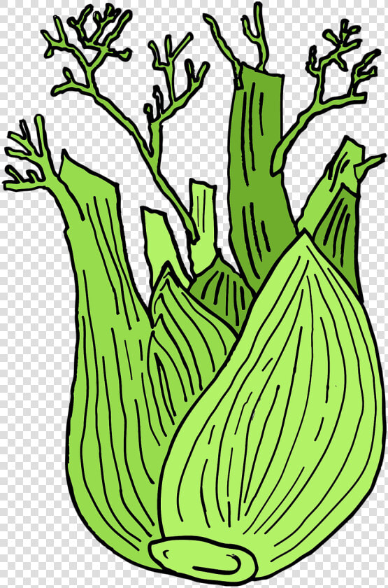 White Line Fennel Cartoon Png  Transparent PngTransparent PNG