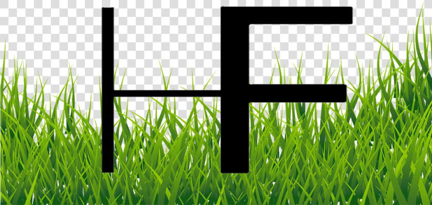 What Other Items Do Customers Buy After Viewing This   Grass Images For Editing  HD Png DownloadTransparent PNG