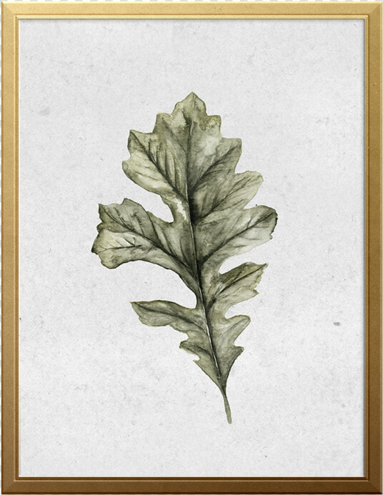 Oak Leaf Art Print   Gambel Oak  HD Png DownloadTransparent PNG