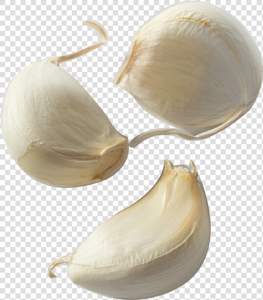 Garlic Bread Clove Condiment Onion   Transparent Garlic Clove  HD Png DownloadTransparent PNG