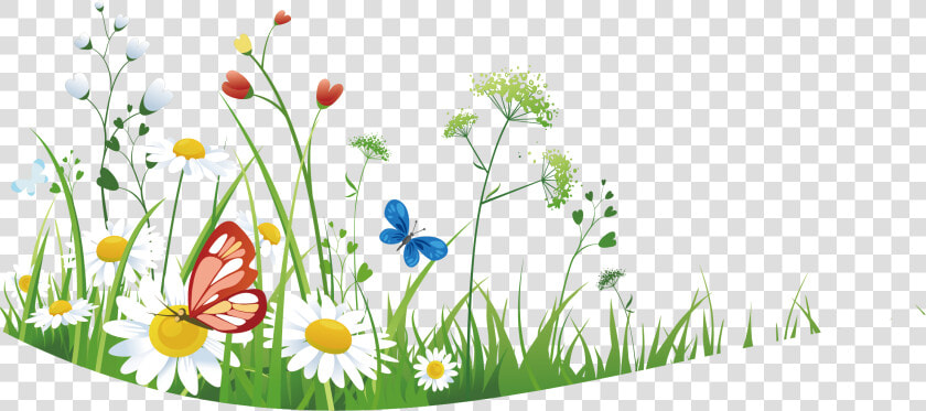 Wild Flowers With Grass   Flower Wild Grass Png  Transparent PngTransparent PNG