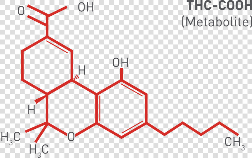 Thc cooh Marijuana Metabolite   Formula Do Thc  HD Png DownloadTransparent PNG