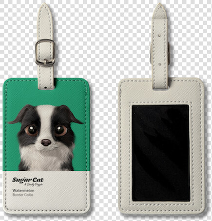 Border Collie  HD Png DownloadTransparent PNG