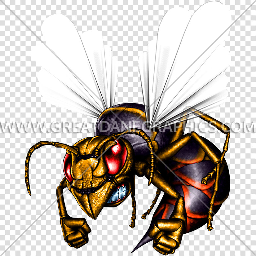 Hornet Clipart Killer Bee   Hornets Art  HD Png DownloadTransparent PNG