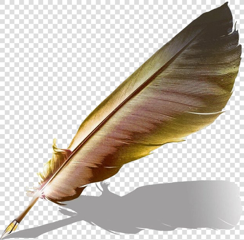 Transparent Quill And Ink Png   Feather Ink Pen Transparent  Png DownloadTransparent PNG