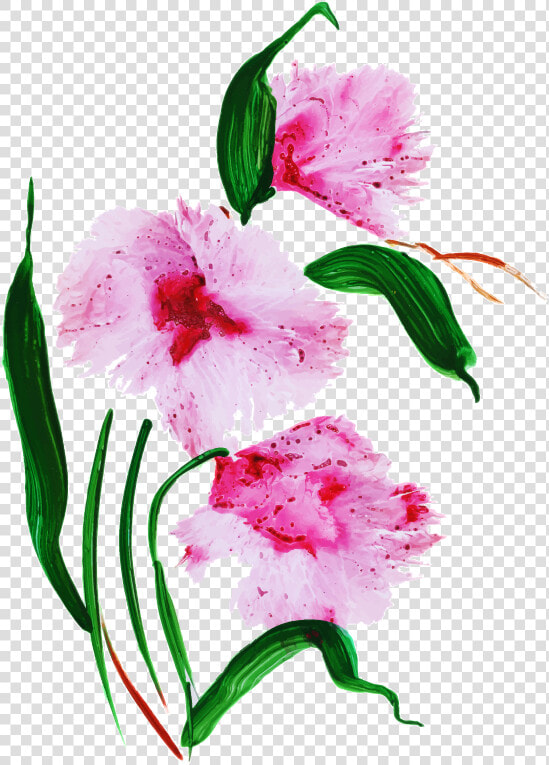 Stargazer Lily  HD Png DownloadTransparent PNG