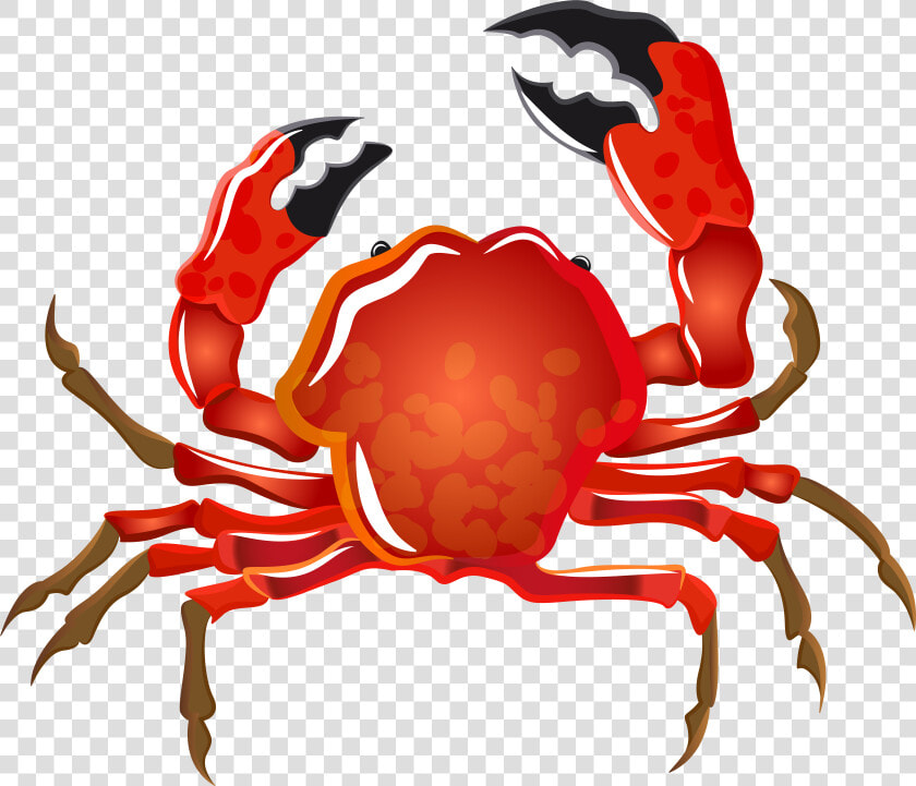 Crabs Clipart Border  HD Png DownloadTransparent PNG