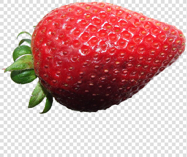 Transparent Strawberry Plant Clipart   Strawberry  HD Png DownloadTransparent PNG