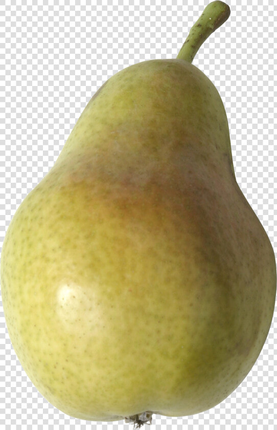 Pear Tree Png Translucent   Pear Transparent Png  Png DownloadTransparent PNG