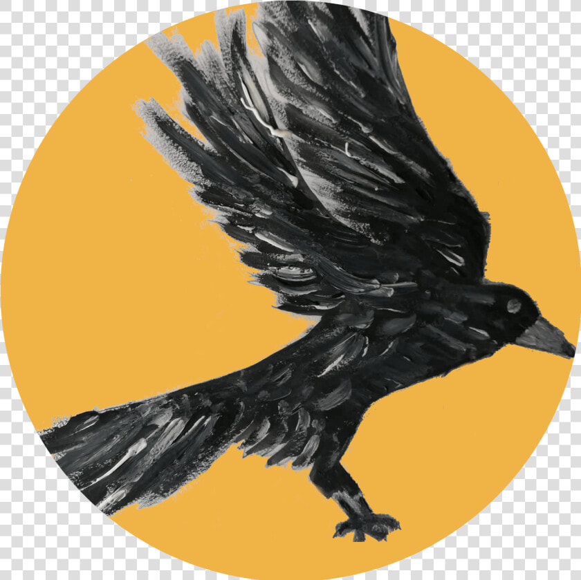 Crow Intelligence   American Crow  HD Png DownloadTransparent PNG