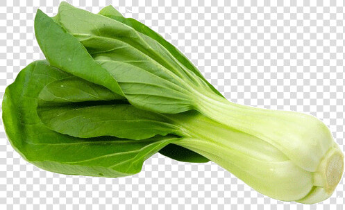 Vegetable leaf Sum leaf flower chinese Plant spinach romaine   Bok Choy In Italiano  HD Png DownloadTransparent PNG