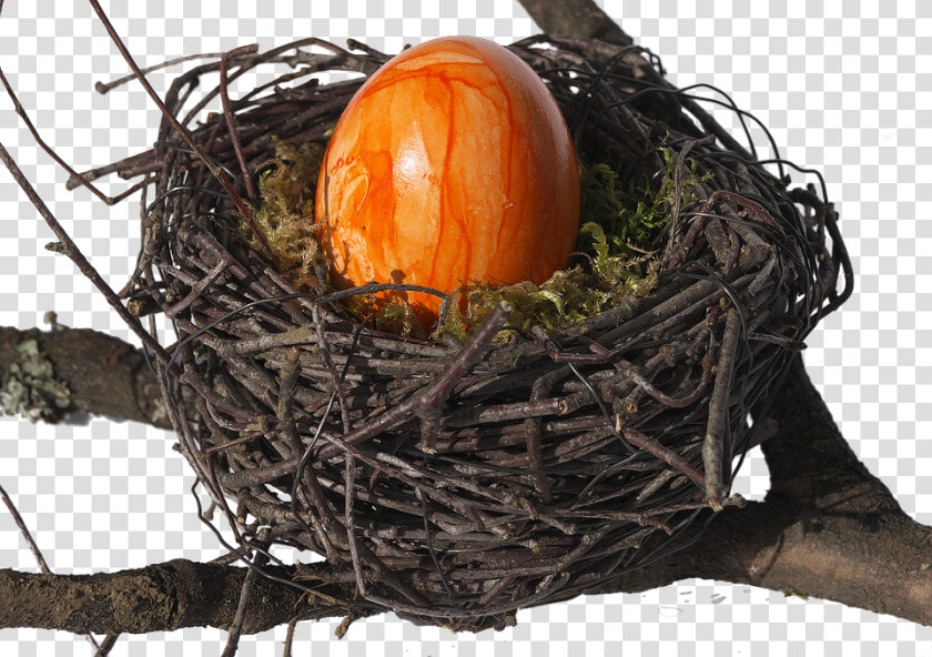 Bird S Nest  Nest  Easter Nest  Easter Decoration   Vogelnest Transparent  HD Png DownloadTransparent PNG