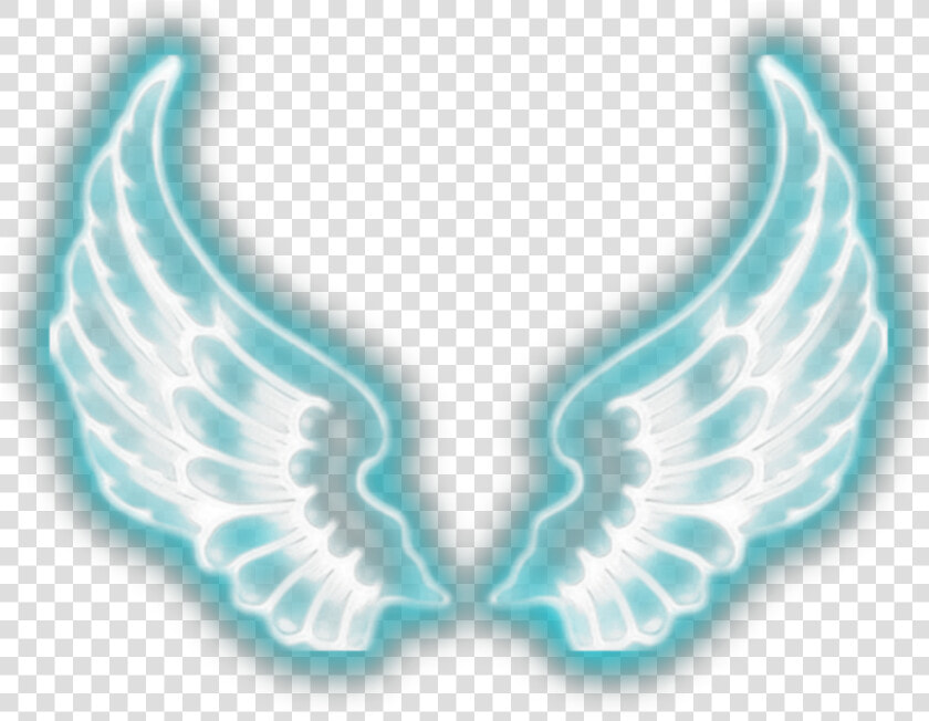  wings  angel  angelwings  angels  angelsarebeautiful   Wings For Photo Editing  HD Png DownloadTransparent PNG