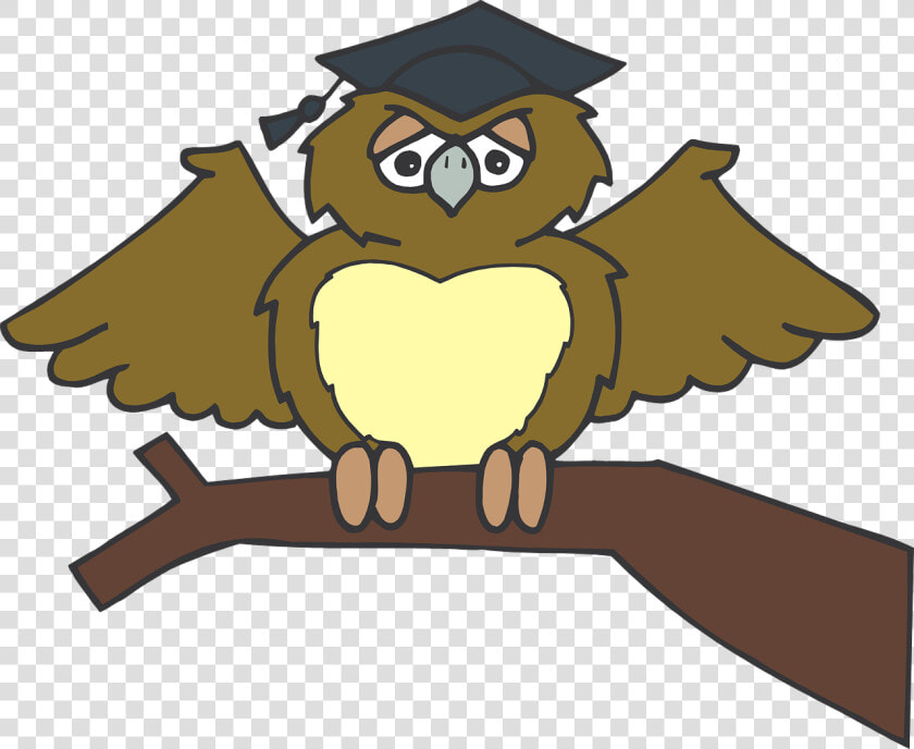 Gufo Laurea Png  Transparent PngTransparent PNG